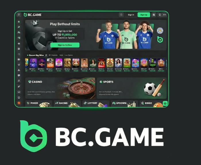 BCGameBet Guide Your Ultimate Resource for Online Betting